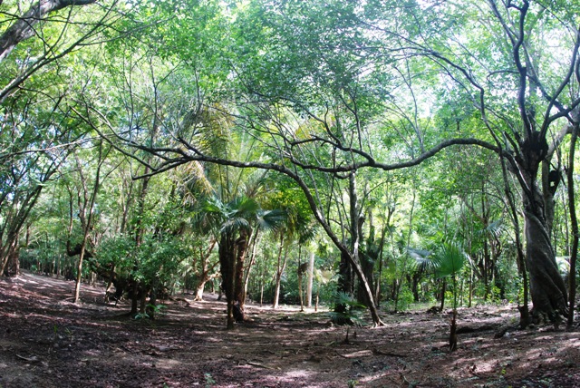 ????????????????????????????????????